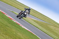 Middle Group Black Bikes